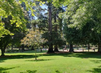 초록빛 매력 한가득! 캘리포니아 새크라멘토 주립대학(California State University, Sacramento)