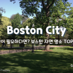자연과 공존하는 도시 BOSTON 자연 명소 TOP 5!