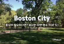 자연과 공존하는 도시 BOSTON 자연 명소 TOP 5!
