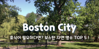 자연과 공존하는 도시 BOSTON 자연 명소 TOP 5!