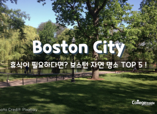 자연과 공존하는 도시 BOSTON 자연 명소 TOP 5!