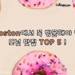 보스턴 도넛 맛집 추천 TOP 5!