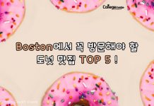 보스턴 도넛 맛집 추천 TOP 5!