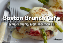 현지인이 추천하는 BOSTON 브런치 카페 TOP 5!