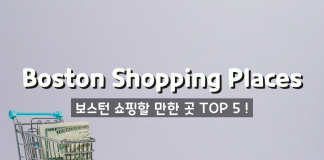 보스턴 쇼핑할 만한 곳 TOP 5!